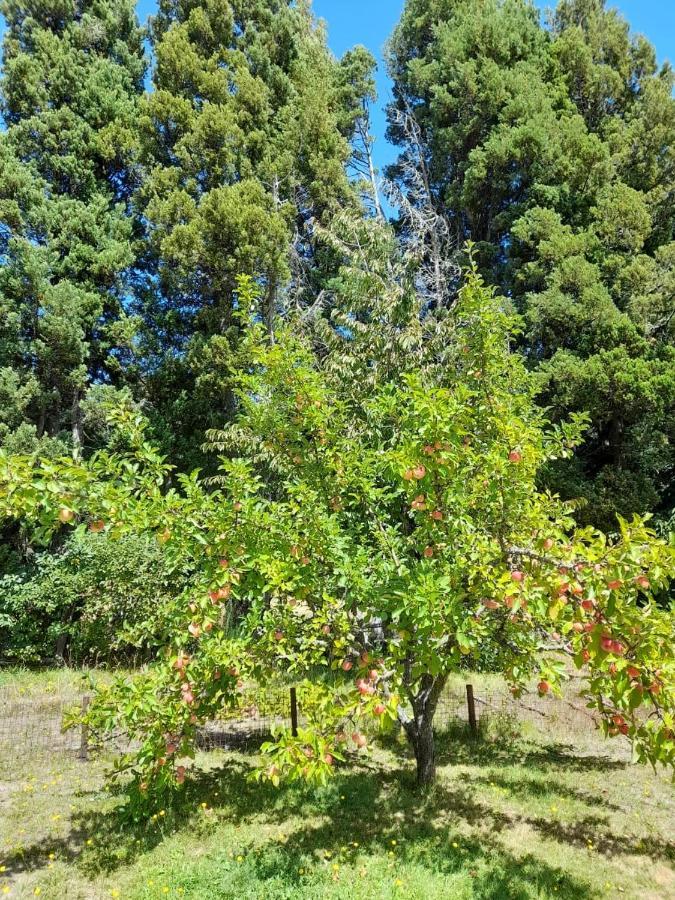 Un Espacio Comodo Comodo Apartamento San Carlos de Bariloche